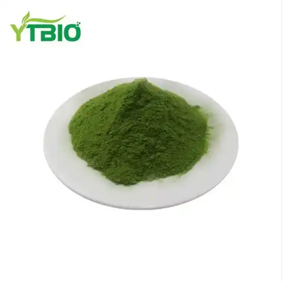 Euglena powder